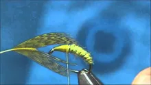 Video thumb for Small Caddis Pupa