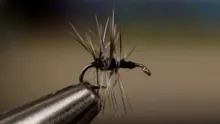Video thumb for Al's Trico