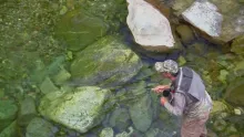 Video thumb for Small Water Matrix