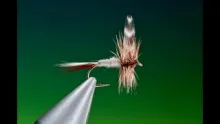 Video thumb for Hackle Tip Adams