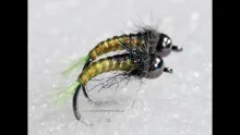 Video thumb for Pearl Flexx nymph