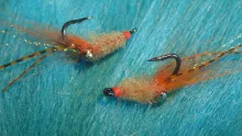 Video thumb for Bongo Fly