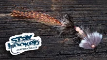 Video thumb for The Crawler Fly