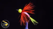 Video thumb for Remnant Fly #32