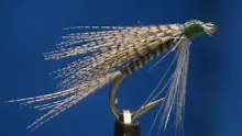 Video thumb for Quill Gordon Wet