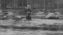 Video thumb for Mayfly Time