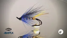 Video thumb for Black and Blue