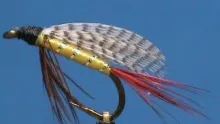 Video thumb for Fly Tying the Professor with Jim Misiura