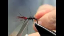Video thumb for Lava