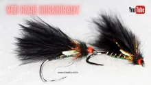 Video thumb for Red Head Cormorant