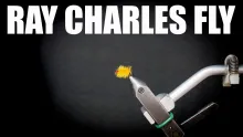 Video thumb for Ray Charles Fly