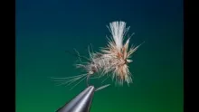 Video thumb for Bedraggled Emerger