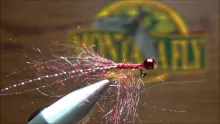 Video thumb for CP's Micro Balanced Simi Seal Leach