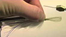 Video thumb for Wide Receiver Streamer