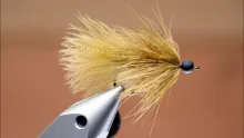 Video thumb for Brahma Bugger