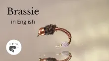 Video thumb for Brassie
