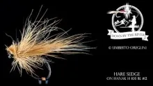 Video thumb for Hare Sedge