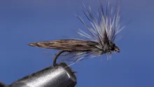 Video thumb for Little Black Stone Dry