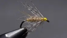 Video thumb for Leisenring Spider