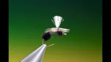 Video thumb for Parachute Ant