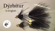 Video thumb for Dýrbítur
