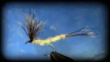 Video thumb for Extended Mayfly Body