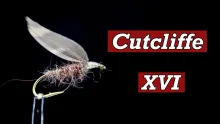 Video thumb for Cutcliffe XVI
