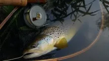 Video thumb for Mayfly Meadows