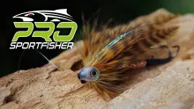 Video thumb for JK Brownspeckled Baitfish