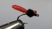 Video thumb for Forget-Me-Knot Midge 