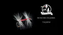 Video thumb for Mouches Exquises
