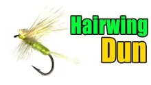 Video thumb for Harrop's Hair Wing Dun