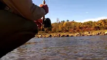 Video thumb for Carp's Blues