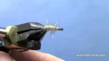 Video thumb for George Daniel's Sowbug