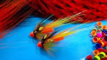 Video thumb for Conehead Parks Shrimp