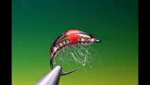 Video thumb for Hot Spot Gammarus