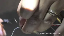 Video thumb for Avalon