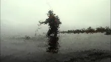Video thumb for It's only pike fly fishing but I like it