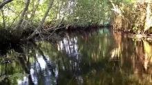 Video thumb for Trout Love part five