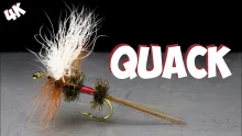 Video thumb for Quack - Hairwing Royal Coachman