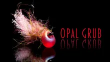 Video thumb for Opal Grub