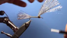 Video thumb for Kraft's Kreelex
