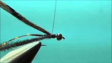 Video thumb for CP's BH Flash Back Pheasant Tail Nymph