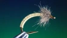 Video thumb for Scruffy Brassie