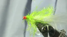 Video thumb for Tricolor Cat
