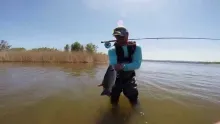 Video thumb for Basstastic