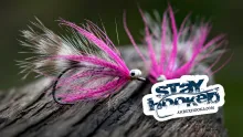 Video thumb for Polar Magnus