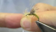 Video thumb for Double Whammy