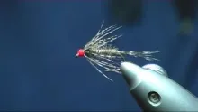 Video thumb for Wet Blue Dun