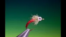 Video thumb for Red Hot Chilli Pupa